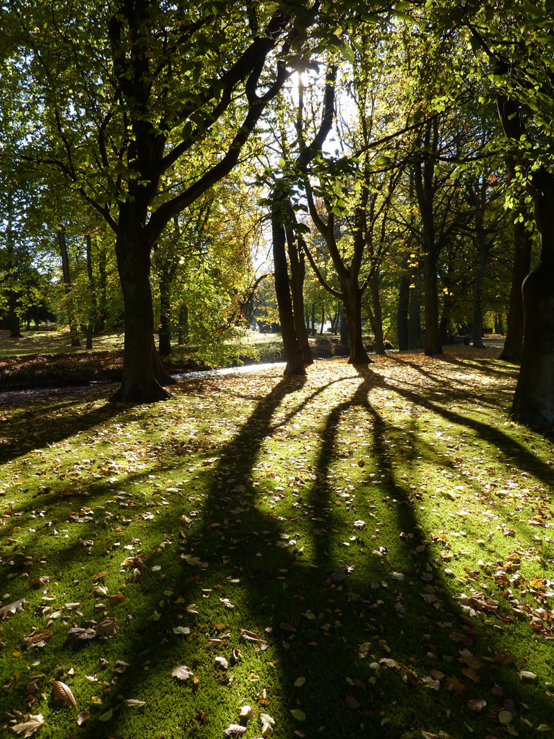Thompson Park